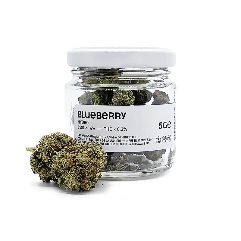 Blueberry Hydro CBD